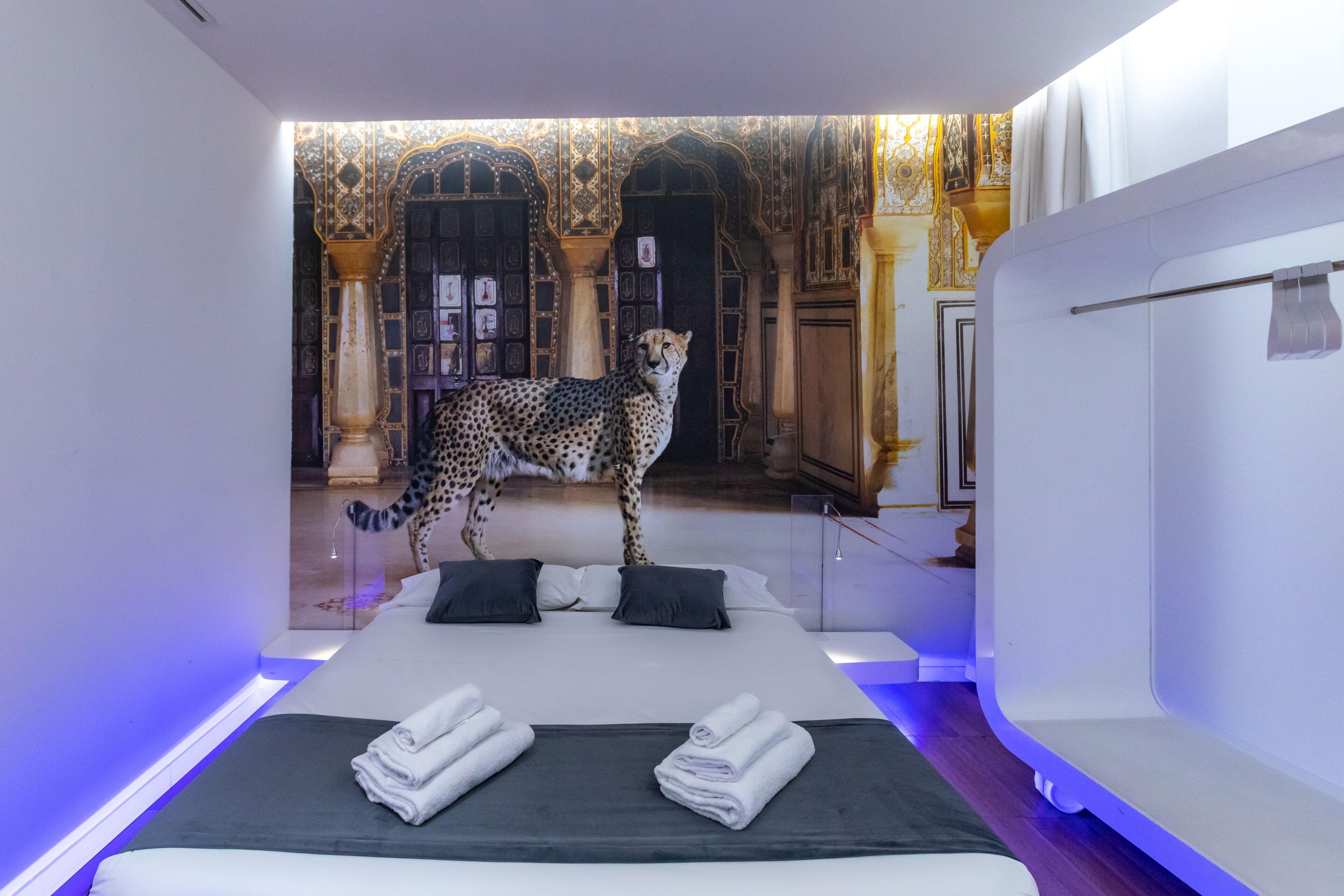 Trevi Elite Rome — Photos 2